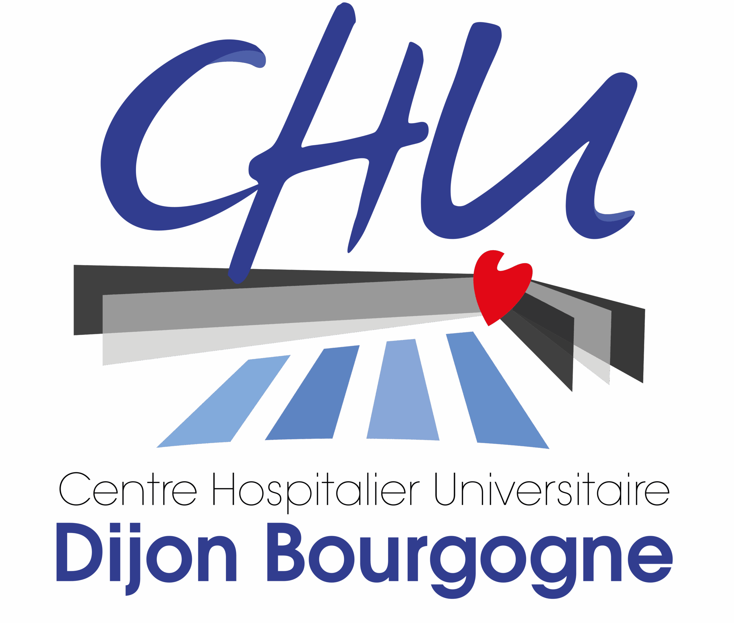 CHU DIjon COULeurs fond transparent